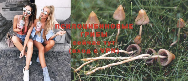 героин Лагань
